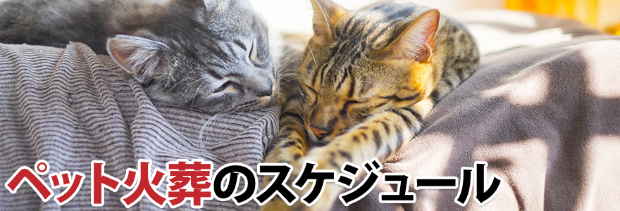 ペット火葬のスケジュール